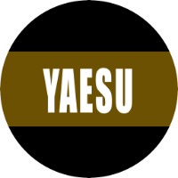 The Yaesu Club