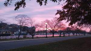 Sunrise at East Potomac Park
